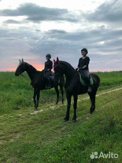 Постой для лошадей