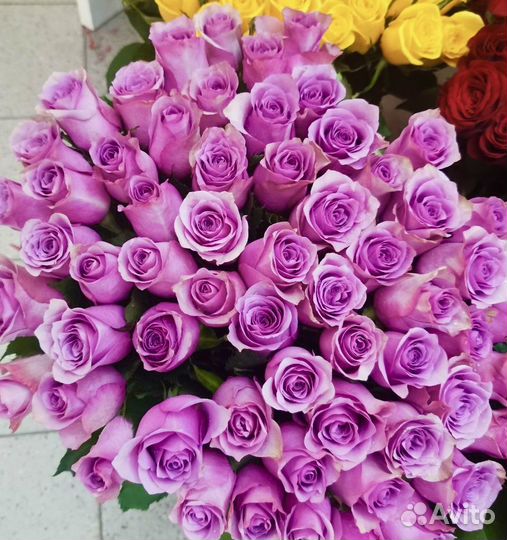 Розы 50см букеты подарки с доставкой 24/7