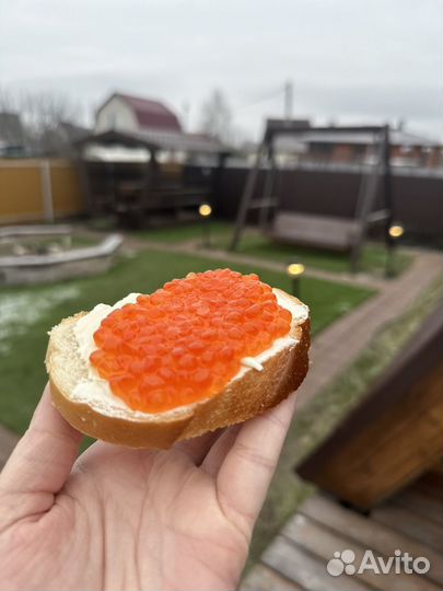 Икра красная Тамбов