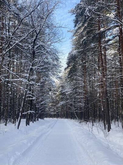 Машиноместо