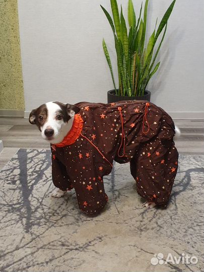 Комбинезон зимний для собаки