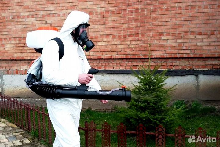 Уничтожение клопов тараканов грызунов блох плесени