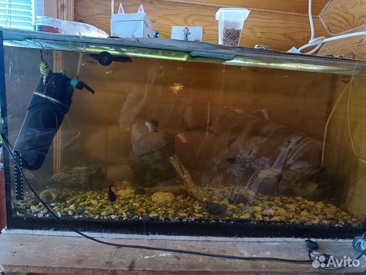 Аквариум