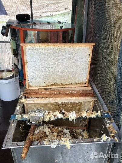 Мед, акация, липа, лесной