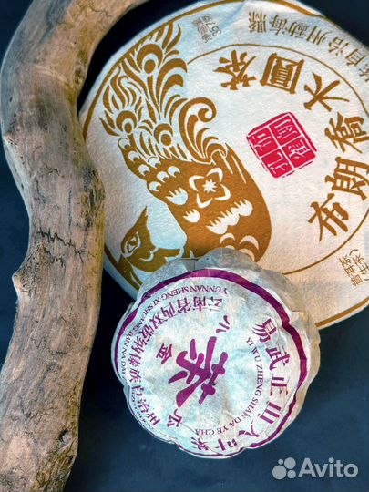 Чай энepгeтик от пpиpoды, Шен Пуэр Тыковка