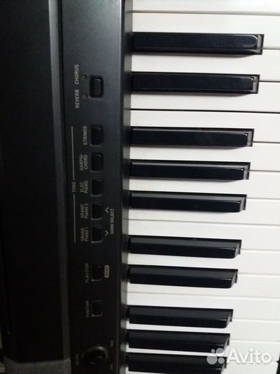 Casio CDP 100, korg trinity