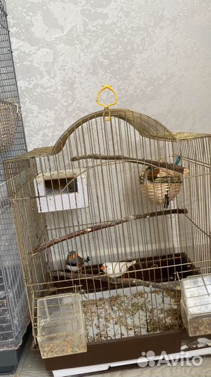 Отель для животных