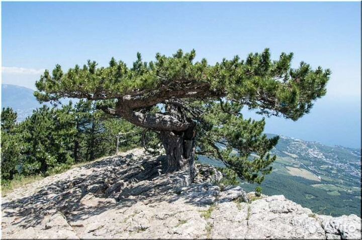 Пешие экскурсии и походы по Крыму + фотосессия