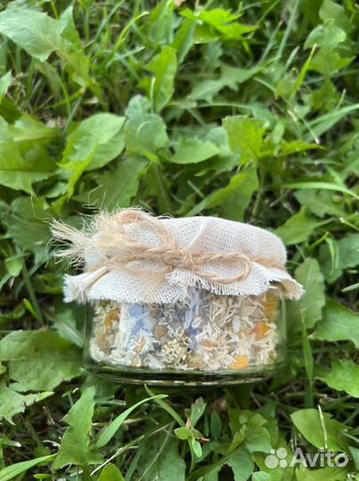 Таежные лечебные травы