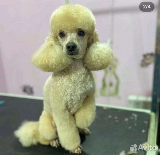 Вязка