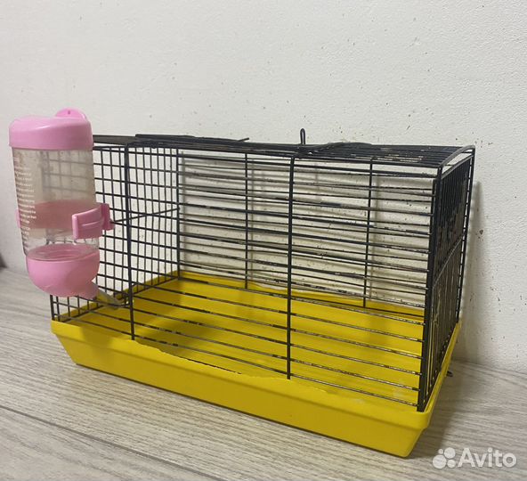 Клетка, переноска для грызунов