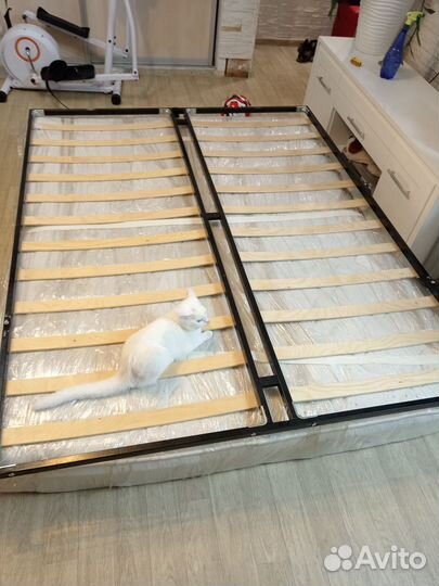 Рамки с вощиной