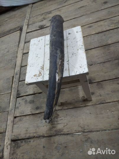 Кончик бивня мамонта