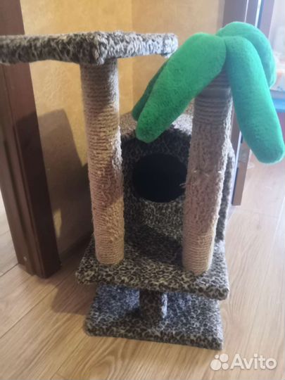 Бенгальская кошка