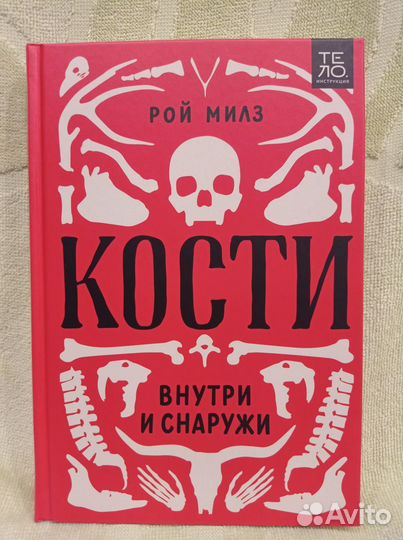 Кости внутри и снаружи