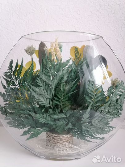 Цветы в вакууме