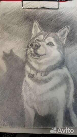 Портрет вашего питомца