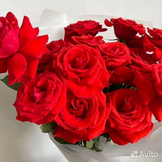 Высокие розы (эквадор)