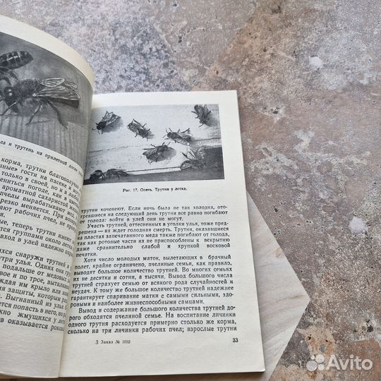 В мире пчел. Щербина. 1960 г