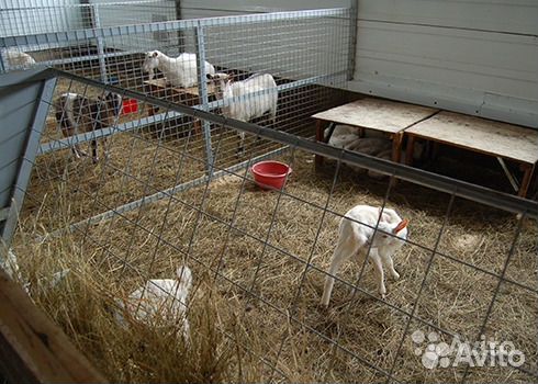 Строительство ферм