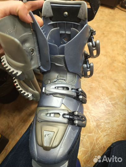 Горнолыжные ботинки Tecnica Entryx 3 (250-255)