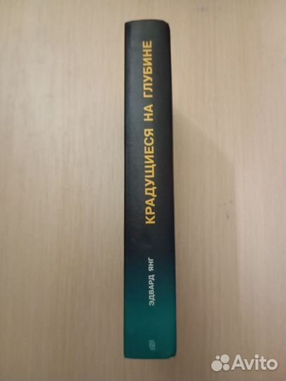 Эдвард Янг. Крадущиеся в глубине