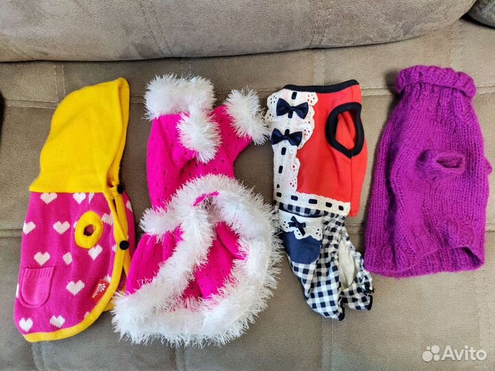 Костюмчики/ботиночки на маленьких собак