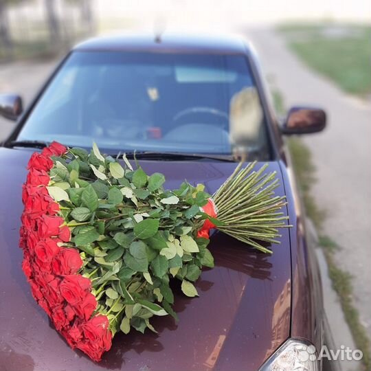 Комнатные растения цветы с доставкой