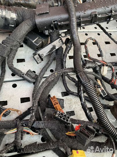 Audi A3 8P Проводка (коса) салонная