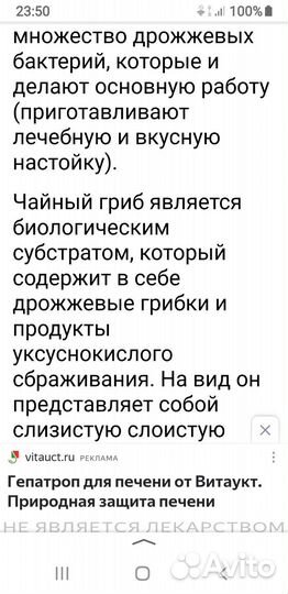 Чайный гриб,в 3-х л.баночке