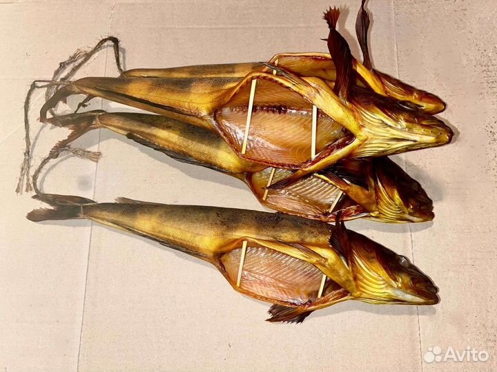 Рыба горячего и холодного копчения