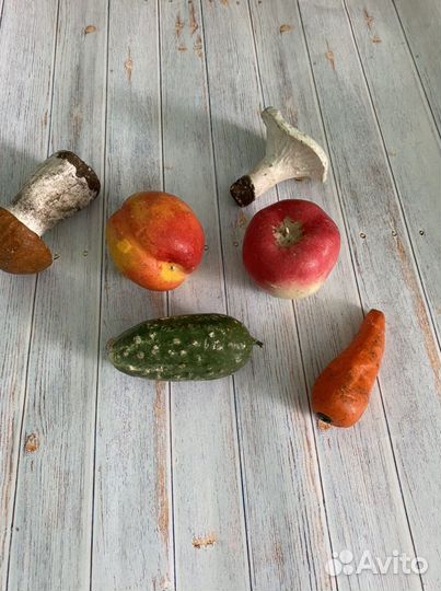 Муляжи для рисования