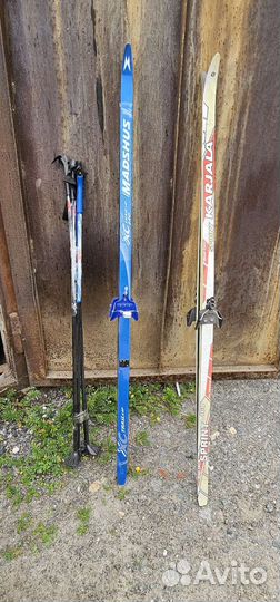 Беговые лыжи