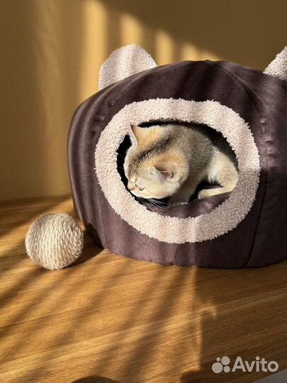 Домик лежанка для кошки