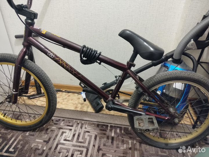 Bmx mongoose