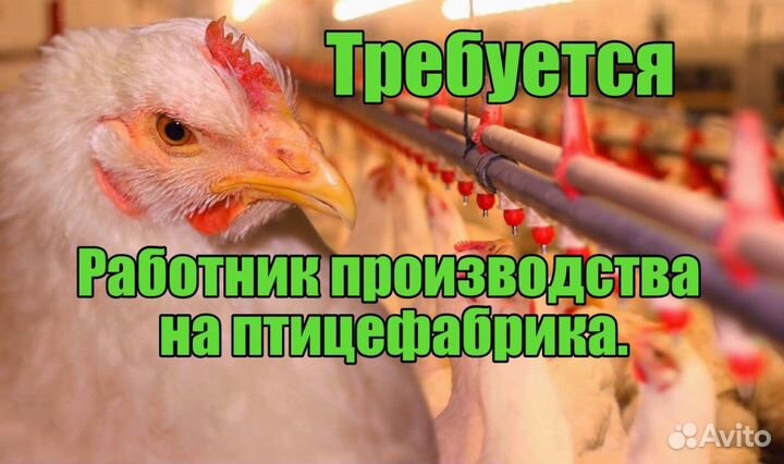 Подсобный рабочий на производство