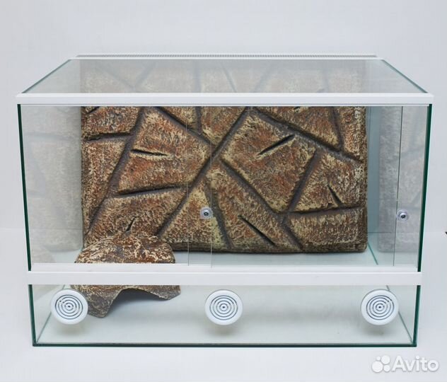 Террариум / полоз / агама / эублефар