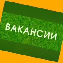 Оператор в цех сборки Работа вахтой Выплаты еженед