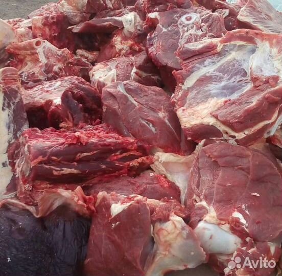 Домашнее мясо говядина