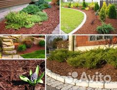 Мульча из коры лиственницы и сосны