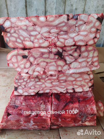 Корм для собак