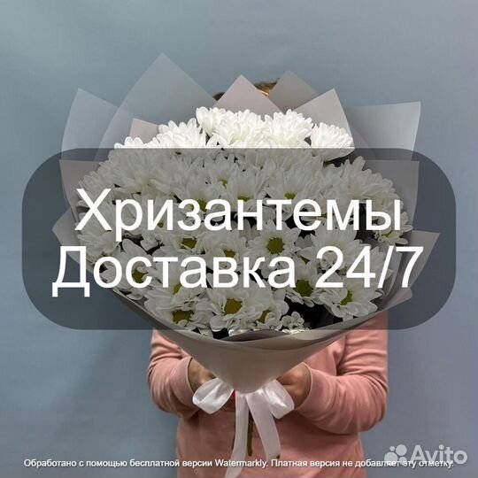 Хризантемы Цветы Букет Москва мо с доставкой