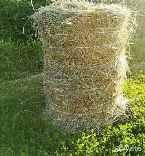 Сено в тюках. Чистое