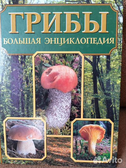 Энциклопедии