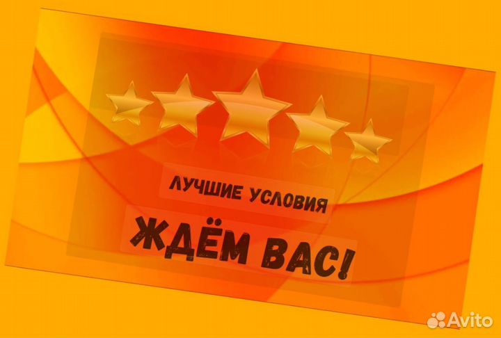 Сортировщик Еженедельный аванс Спецодежда М/Ж