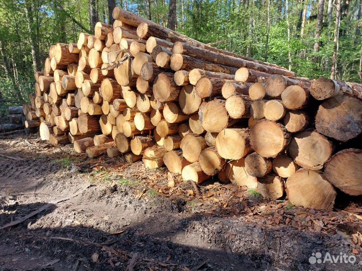 Лес кругляк