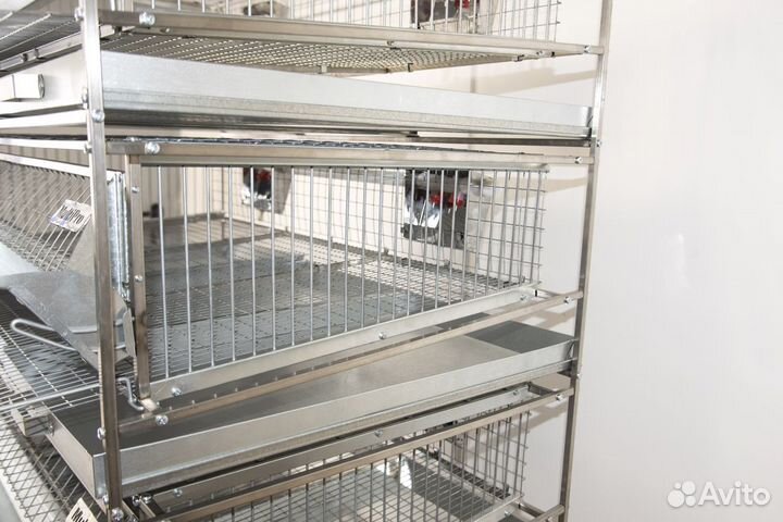 Клетка для перепелов Мультипро