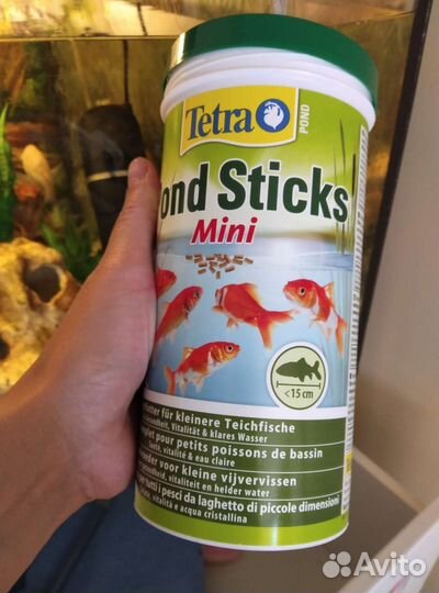 Аквариум вместе с рыбами