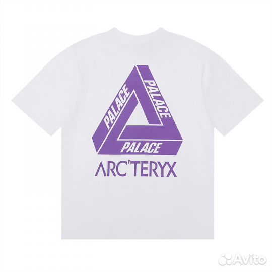 Футболка Arcteryx Palace