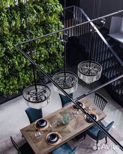 Фитостены, вертикальное озеленение, растения, от